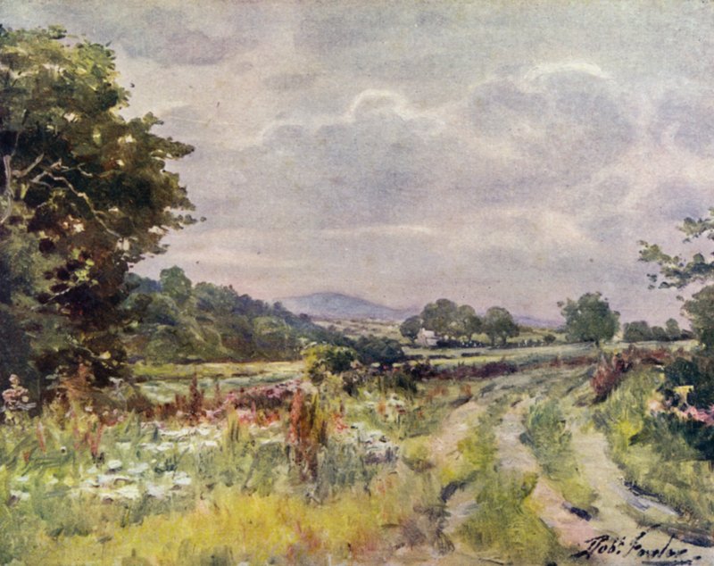Chemin de campagne (lithographie en couleur) - Robert (after) Fowler