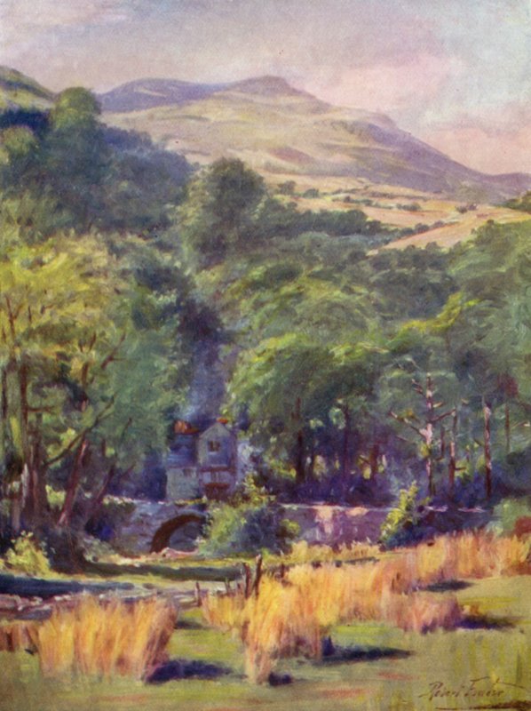 Montagne Duffws (lithographie en couleur) - Robert (after) Fowler