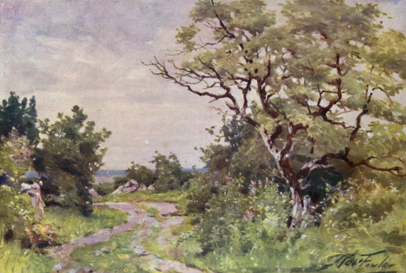 Chemin de campagne, près de Llanrug - Robert (after) Fowler