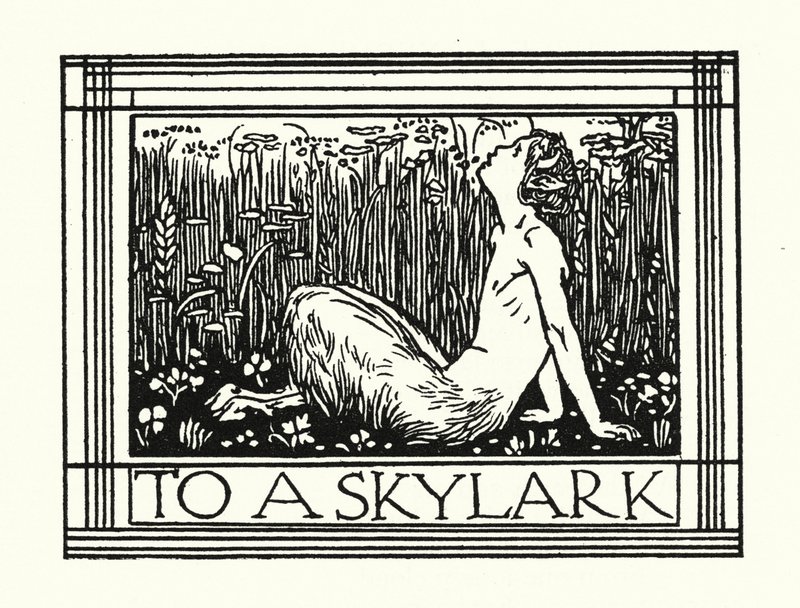 Shelley : À une alouette (litho) - Robert Anning Bell