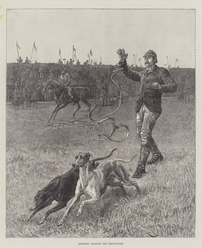Course, lâcher les lévriers - S.T. Dadd