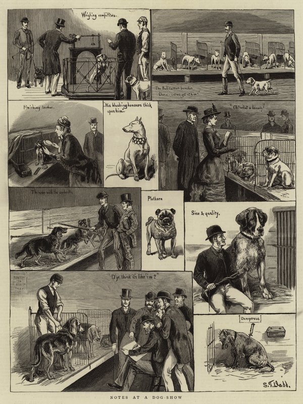 Notes à une exposition canine - S.T. Dadd