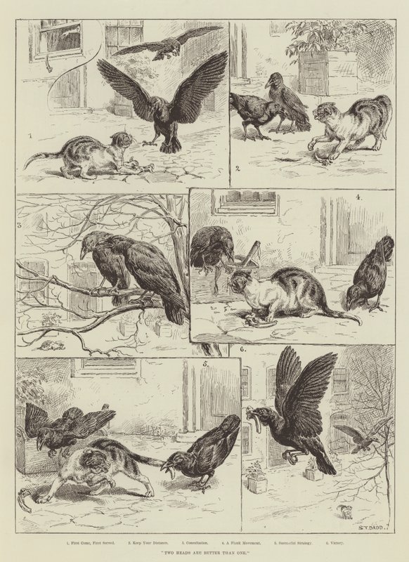 Deux têtes valent mieux qu