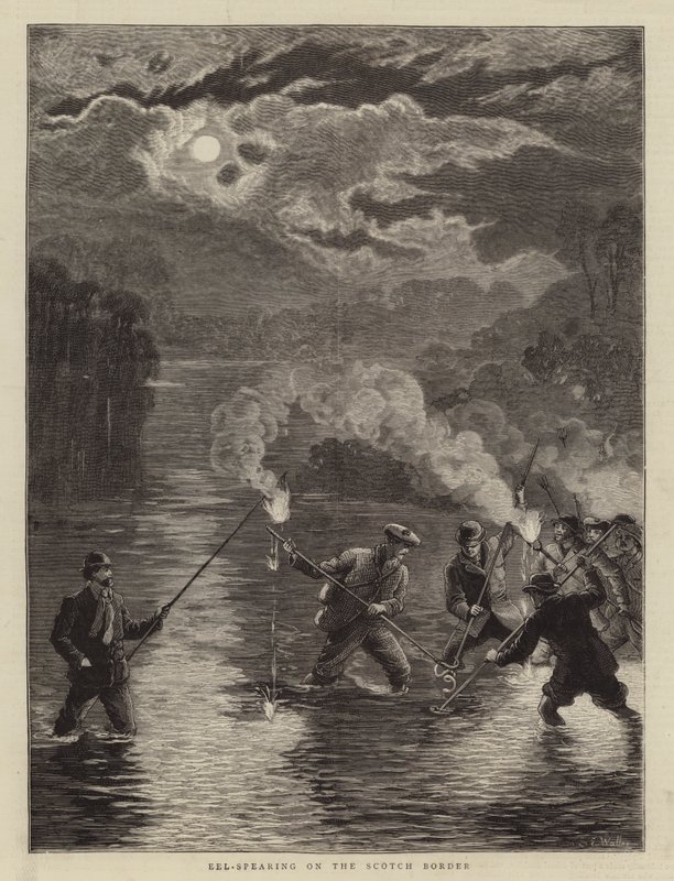 Pêche à l