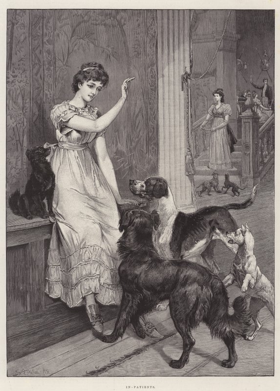 Patients Hospitalisés - Samuel Edmund Waller