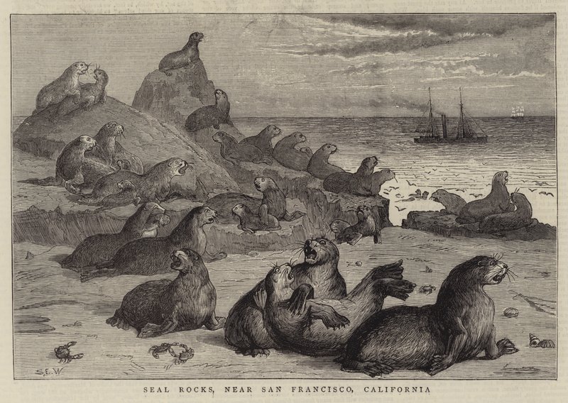 Rochers de Seal, près de San Francisco, Californie - Samuel Edmund Waller