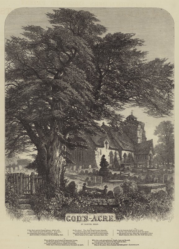 Le Champ de Dieu - Samuel Read