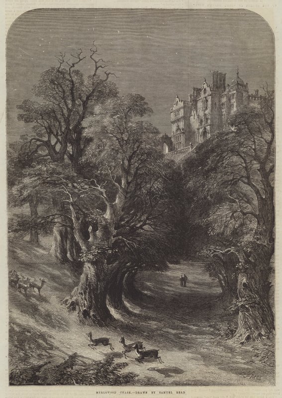 Merlewood Chase - Samuel Read