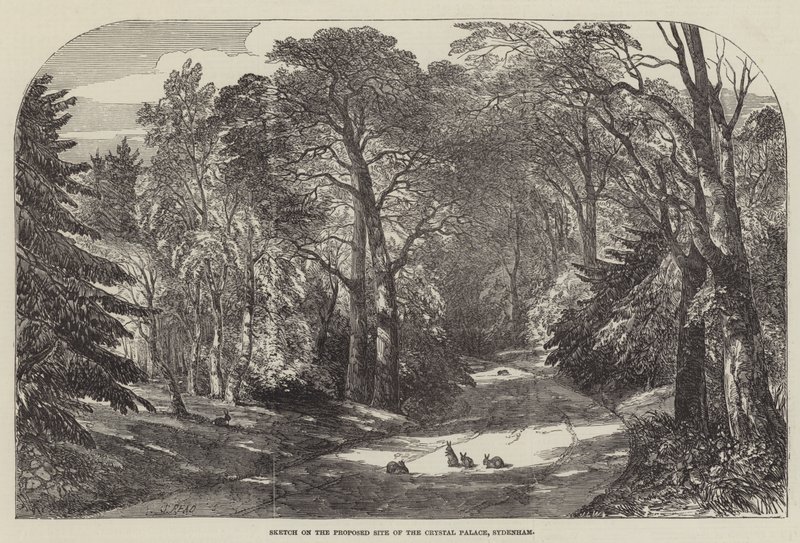 Croquis sur le site proposé du Crystal Palace, Sydenham - Samuel Read