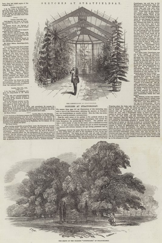 Croquis à Stratfieldsay - Samuel Read