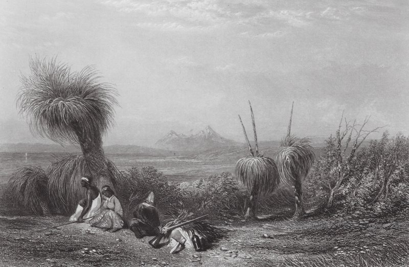 Australie : Les plaines de l