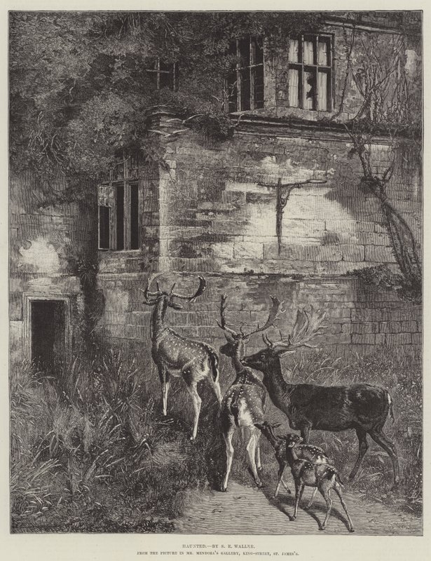 Hanté - Samuel Edmund Waller