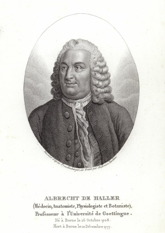 Albrecht von Haller - Sigmund Freudenberger
