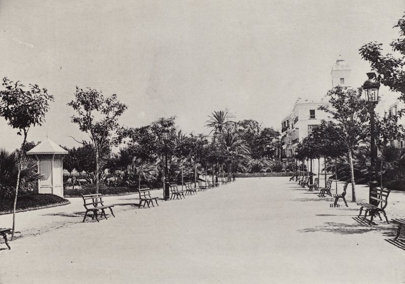 Cadix : Alameda de Apodaca - Spanish Photographer