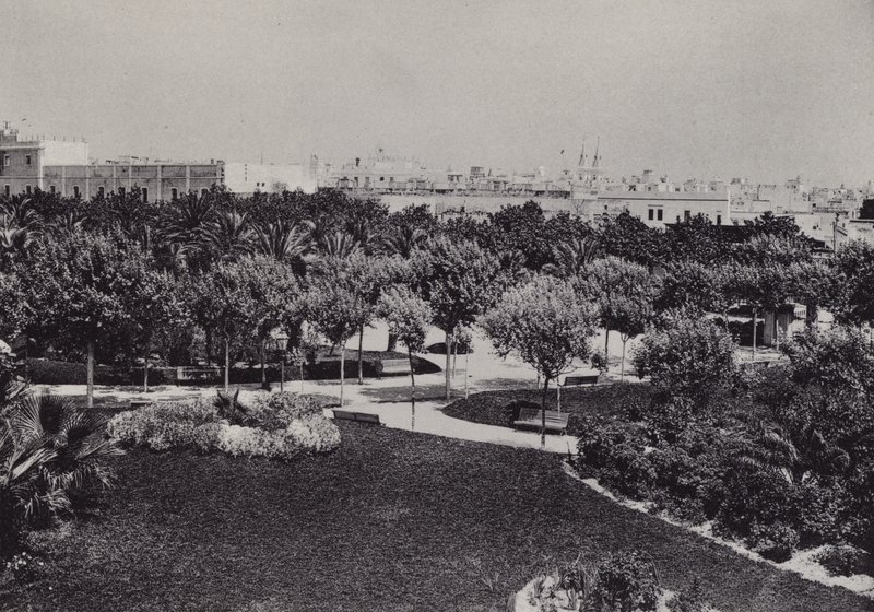 Cadix : Parc Genovés (photo n/b) - Spanish Photographer