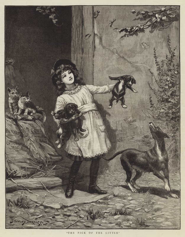 Le Choix de la portée - Stanley Berkeley