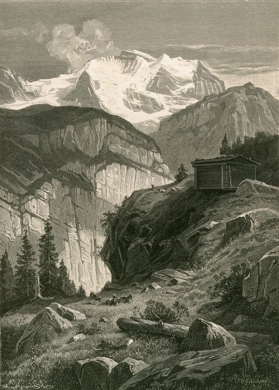 La Jungfrau - Swiss School