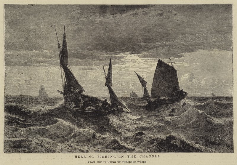Pêche au hareng dans la Manche - Theodore Weber