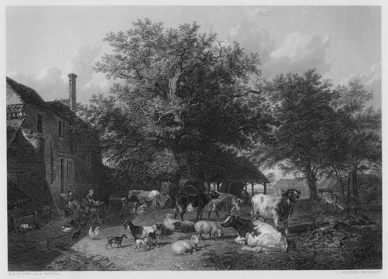 La Cour de Ferme, d
