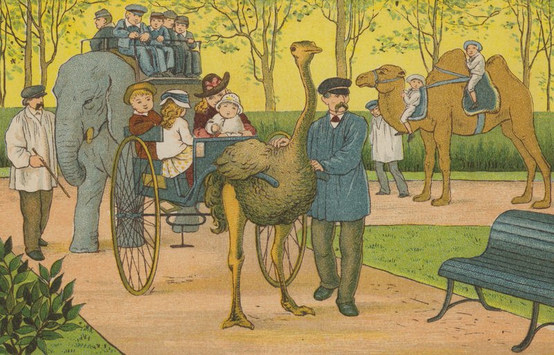 Paris : le zoo - Thomas Crane