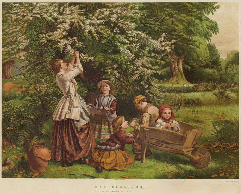 Fleurs de mai - Thomas P. Hall
