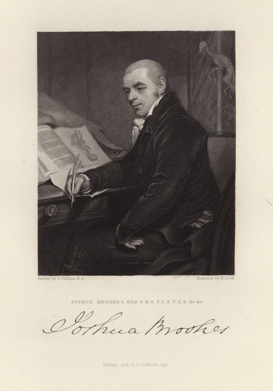 Joshua Brookes - Thomas Phillips