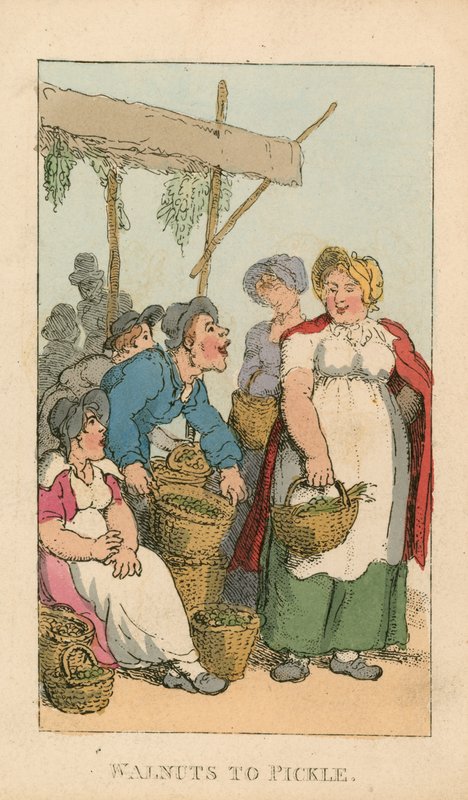 Noix à mariner - Thomas Rowlandson