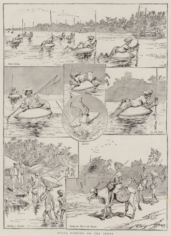 Pêche à la pulla sur l