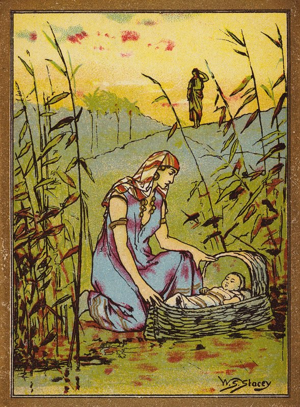La découverte de Moïse - W.S. Stacey