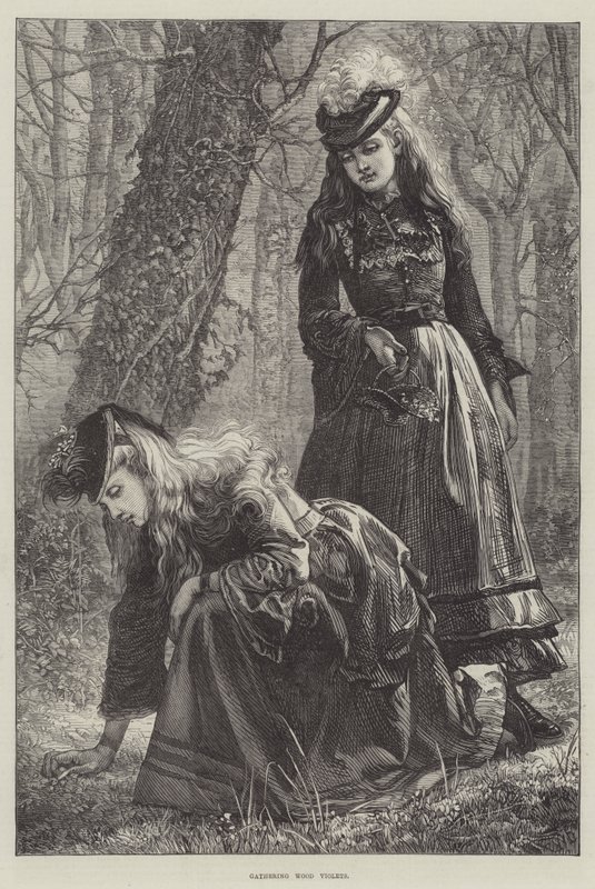 Récolte de violettes des bois - Walter Duncan