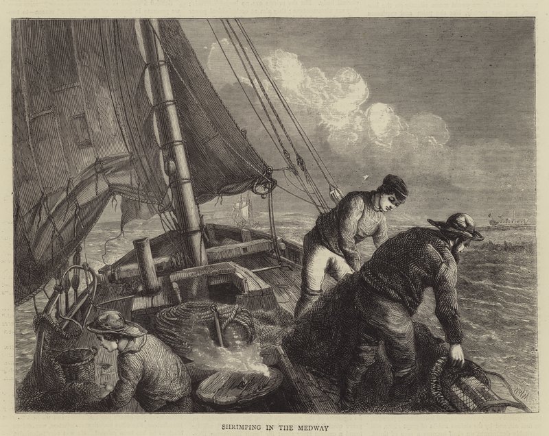 Pêche à la Crevette dans la Medway - Walter William May