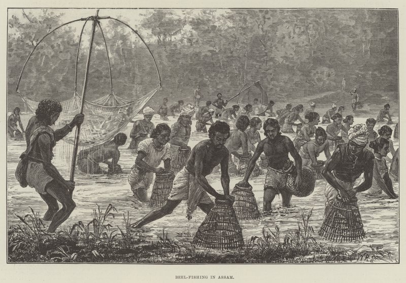 Pêche au Beel en Assam - Walter Paget