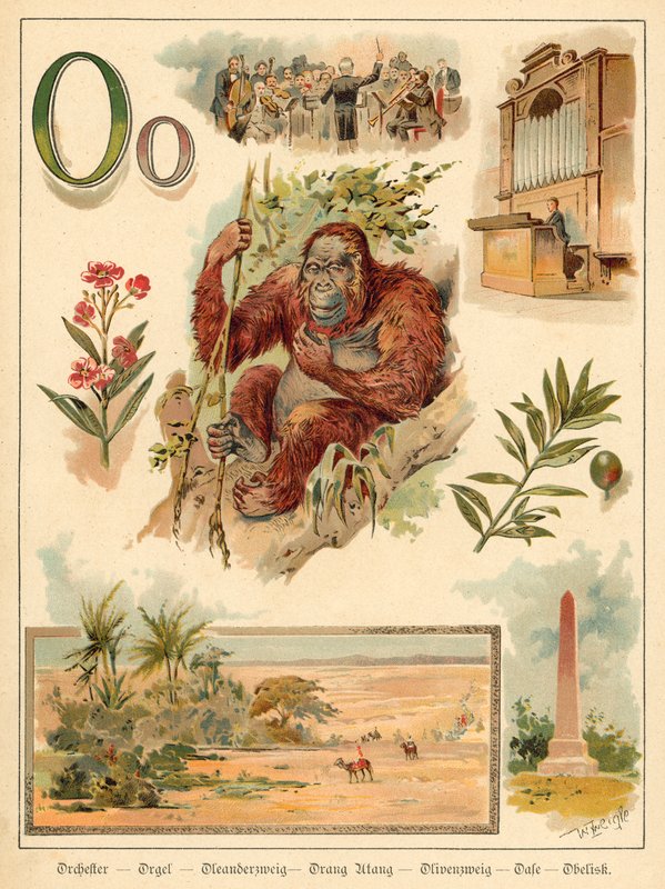 Lettre O - Walter Zweigle