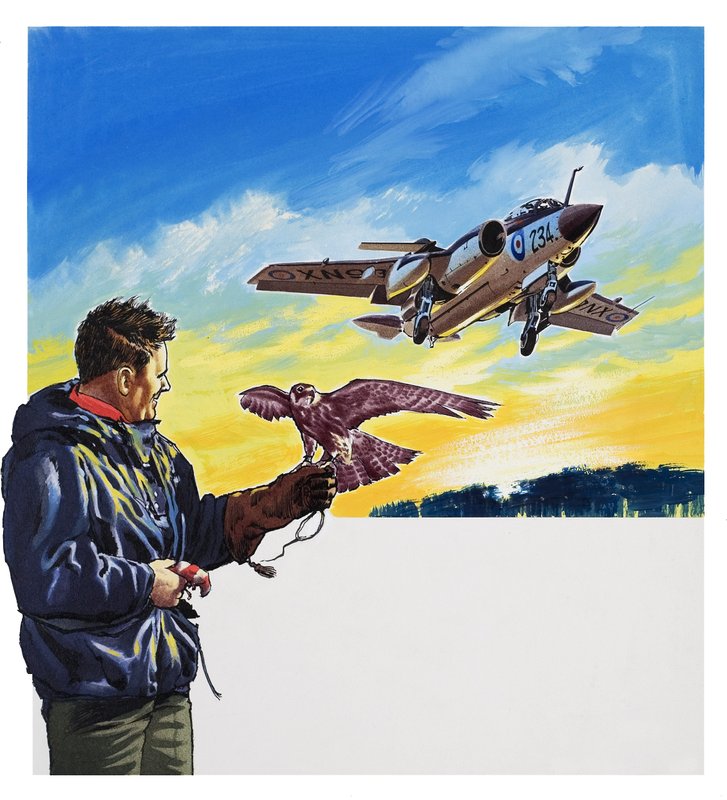 Falcon Flight (gouache sur papier) - Wilf (20th century) Hardy