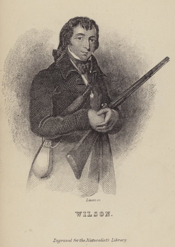 Alexander Wilson, ornithologue écossais - William Home Lizars