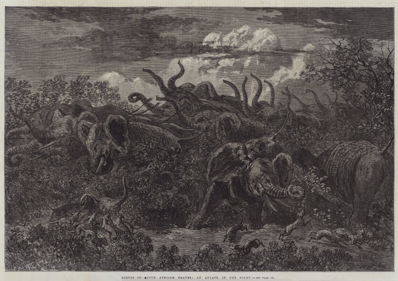 Scènes de voyage en Afrique du Sud, une attaque dans la nuit - William James Linton