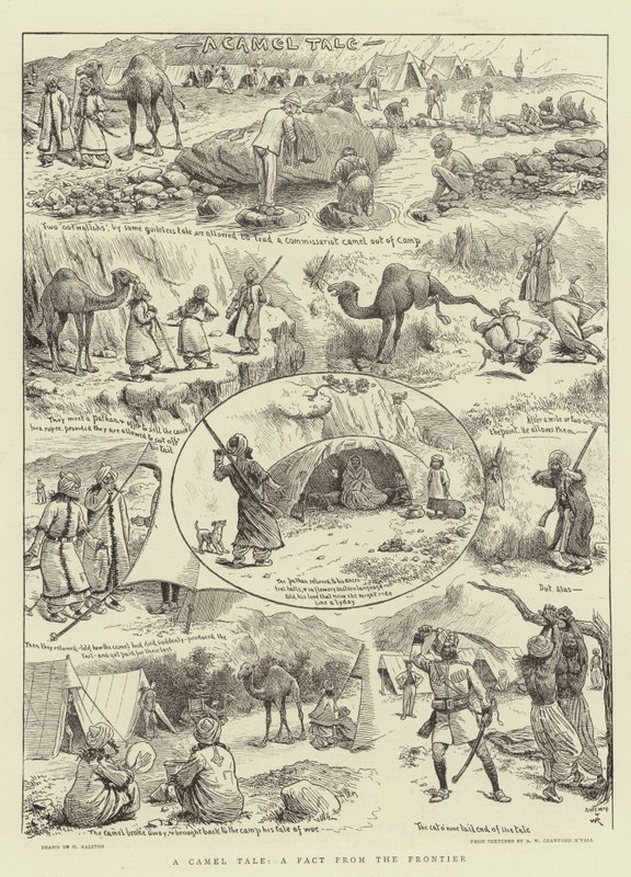 Une histoire de chameau, un fait de la frontière - William Ralston