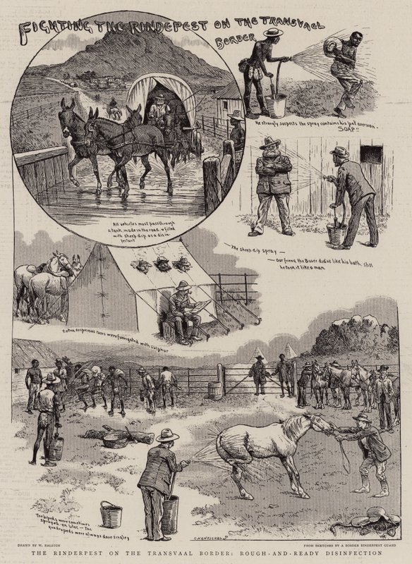 Lutte contre la peste bovine à la frontière du Transvaal - William Ralston