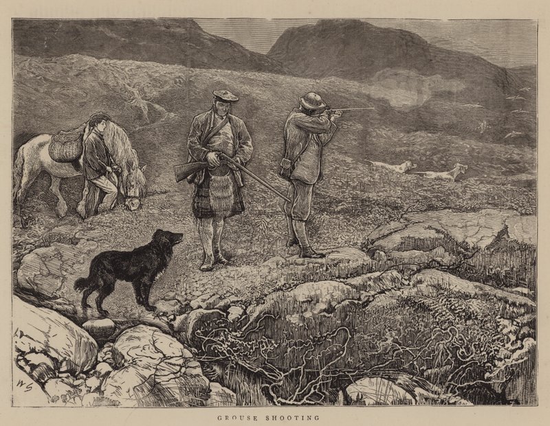 Chasse au tétras - William Small