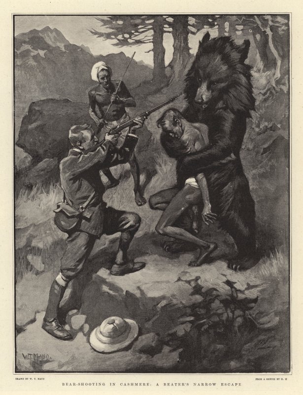 Chasse à l