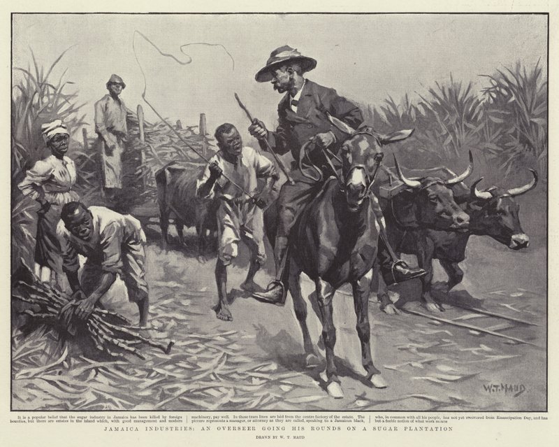 Industries de la Jamaïque, un surveillant faisant sa ronde dans une plantation de sucre - William T. Maud