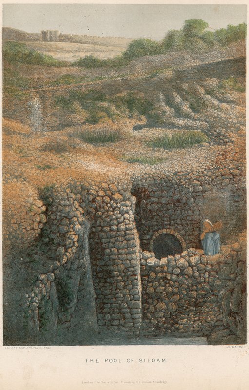 La Piscine de Siloé - William Dickes