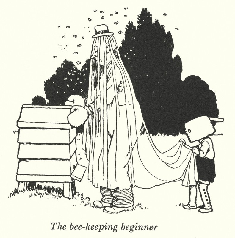 Le débutant en apiculture (lithographie) - William Heath Robinson