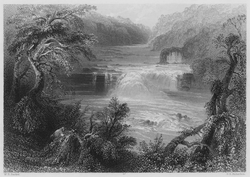 Saut du saumon à Leixlip (gravure) - William Henry (after) Bartlett