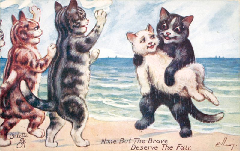 Carte postale humoristique de chat - William Henry Ellam