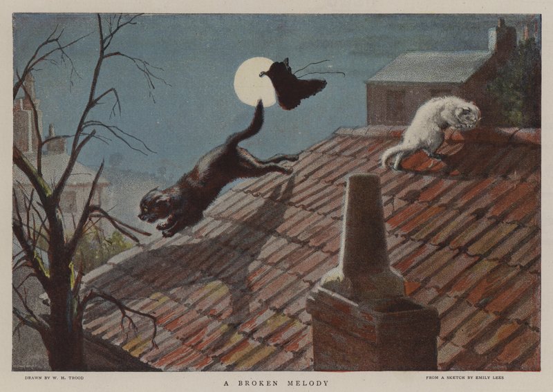Une Mélodie Brisée - William Henry Hamilton Trood