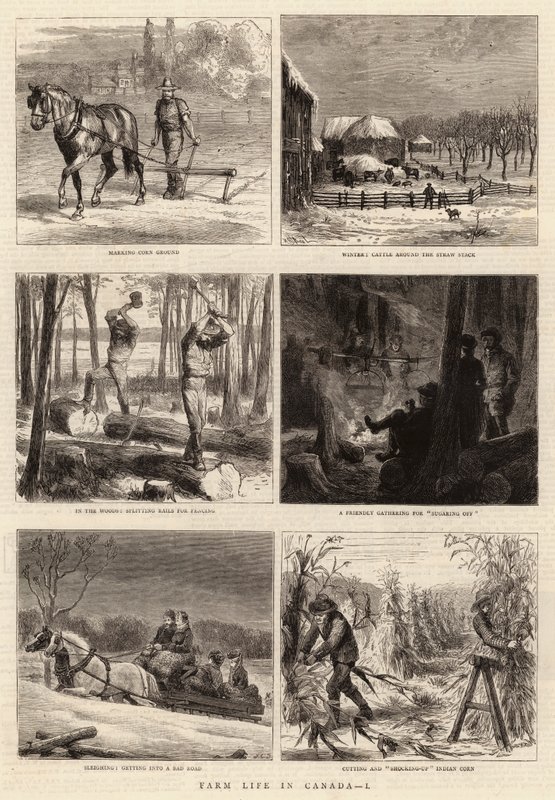 La Vie à la Ferme au Canada, I - William Henry James Boot