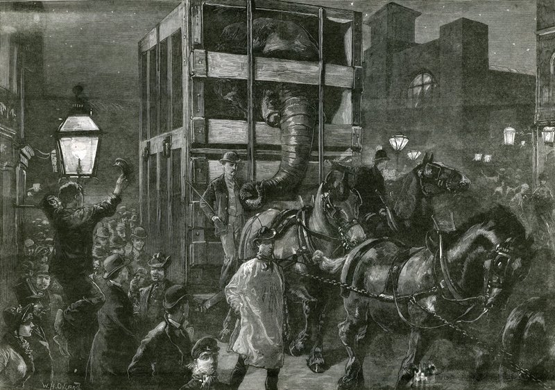Le voyage de Jumbo vers les docks - William Heysham Overend