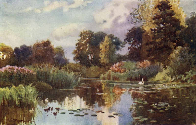 Le lac dans les jardins botaniques - William Matthison