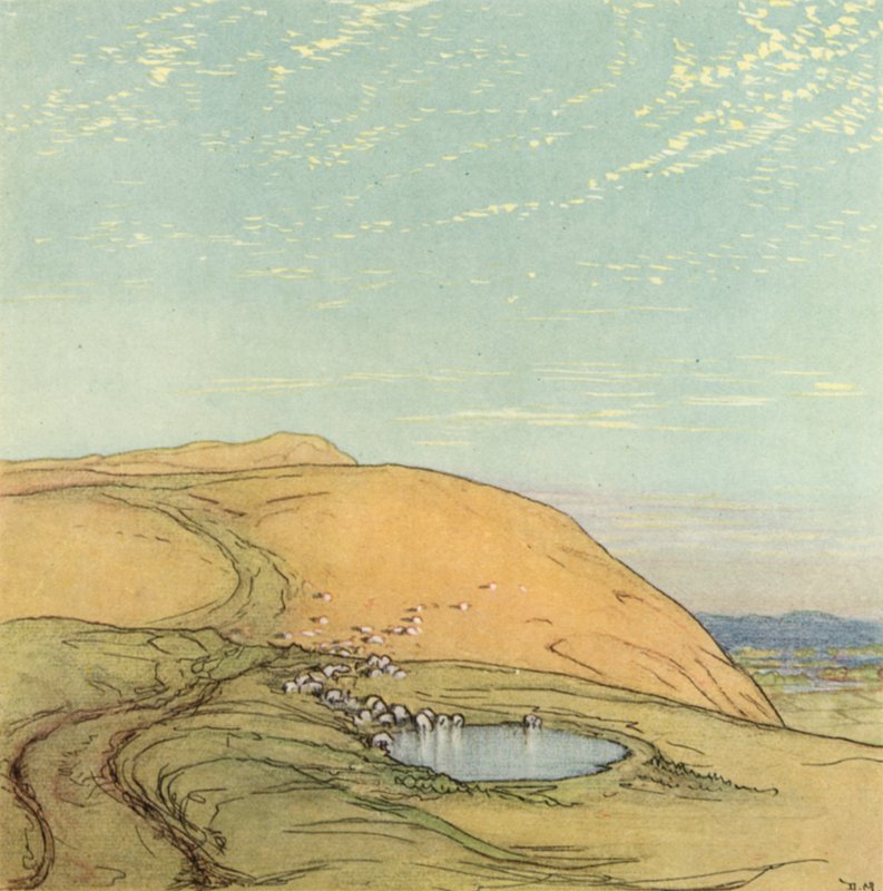 Sussex - after Donald Maxwell
